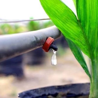 Đầu nhỏ giọt bù áp chống rò rỉ PCJ Driper