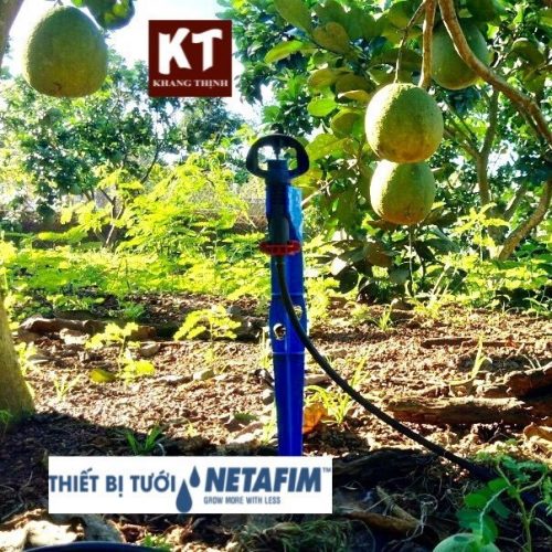 Vòi tưới phun tự bù áp (tưới tại gốc) Supernet