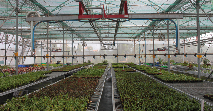 greenhouse