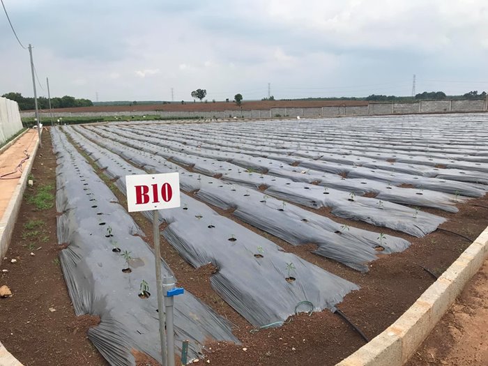 Giảm chi phí sản xuất, tăng hiệu quả đầu tư và sử dụng bằng bộ tự động điều khiển tưới và bón phân N