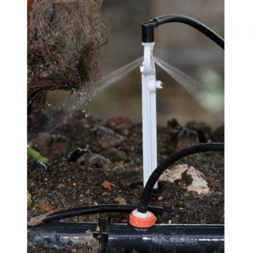Vòi tưới phun nhỏ bù áp (tưới gốc cây) PC Spray Stake