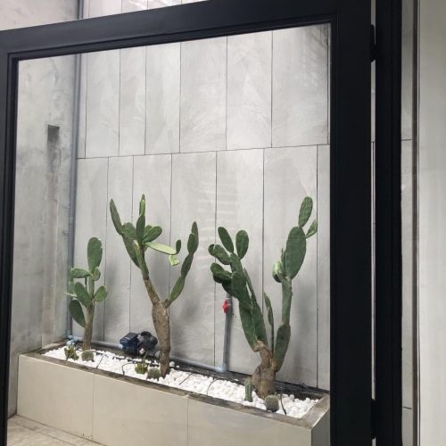 Bộ hẹn giờ tưới cây Aquapro