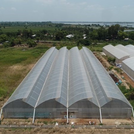 Nhà màng một cửa sổ