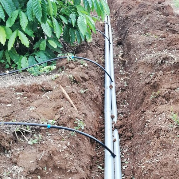 ĐẦU NỐI ỐNG PVC RA ỐNG NHỰA MỀM PE