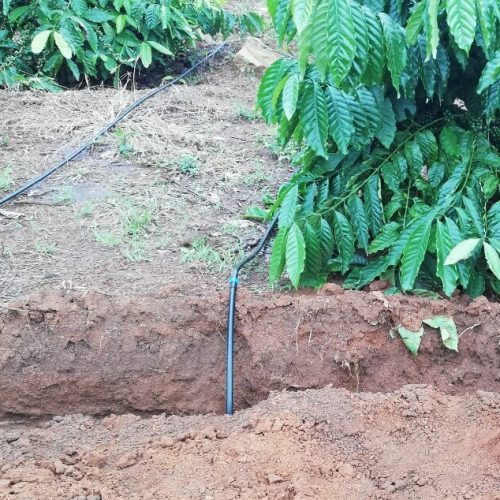 Đầu nối ống PE ra dây nhỏ giọt
