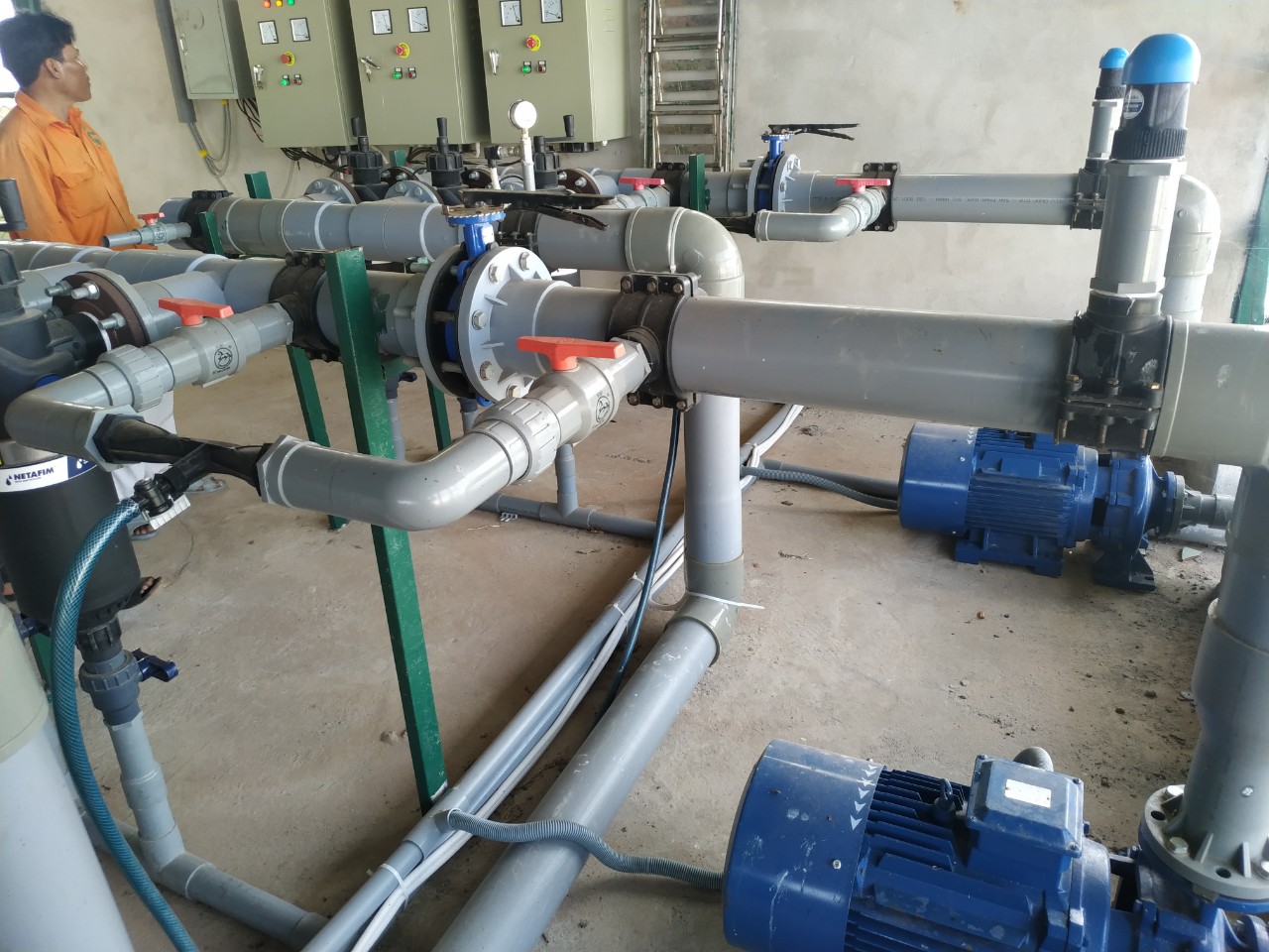 Hệ thống tưới Thanh Long ruột đỏ - Bình Thuận