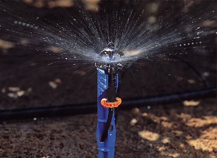 Cách lựa chọn thiết bị tưới phun phù hợp cho cây trồng
