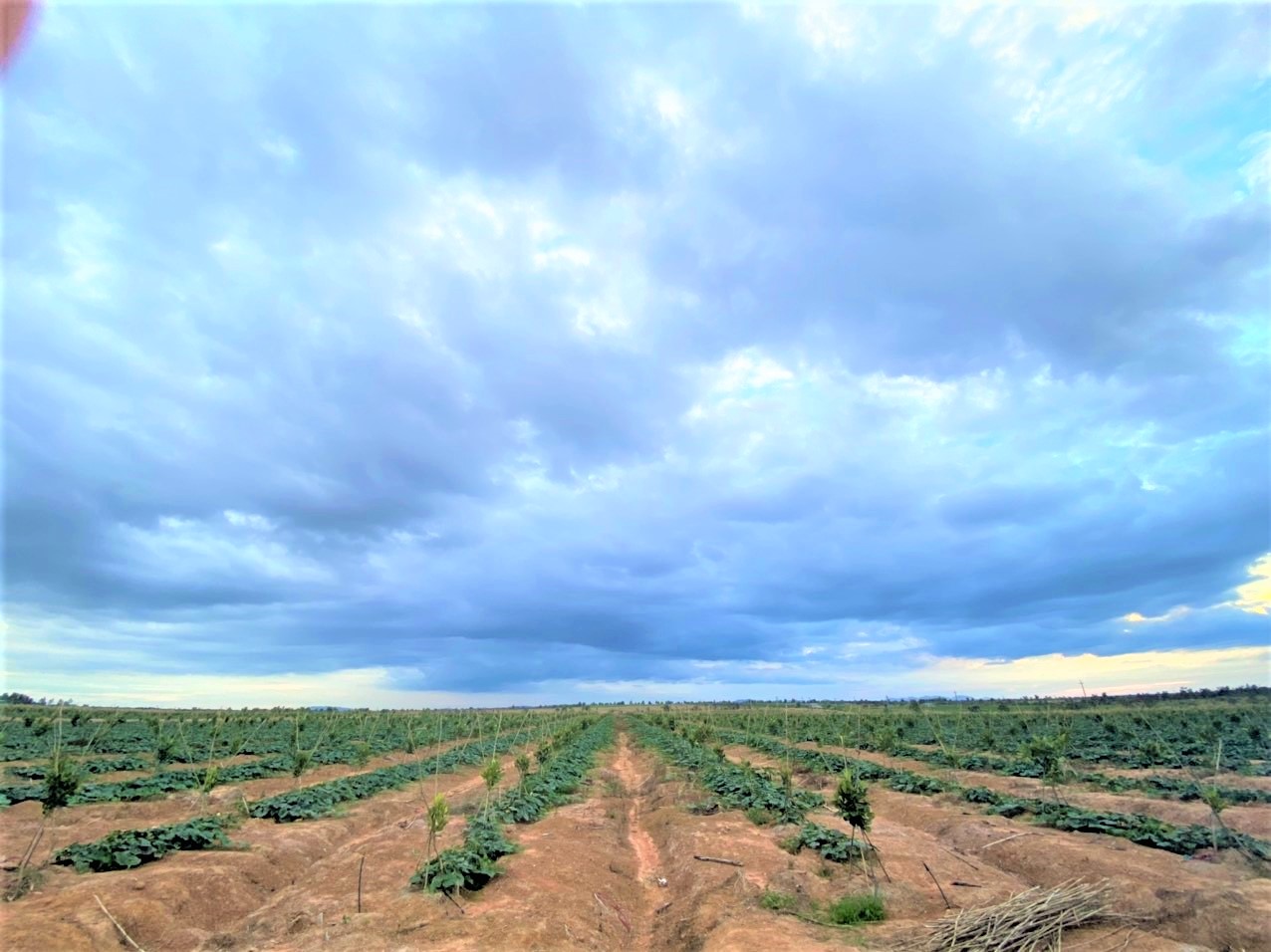 500ha Edit (2)