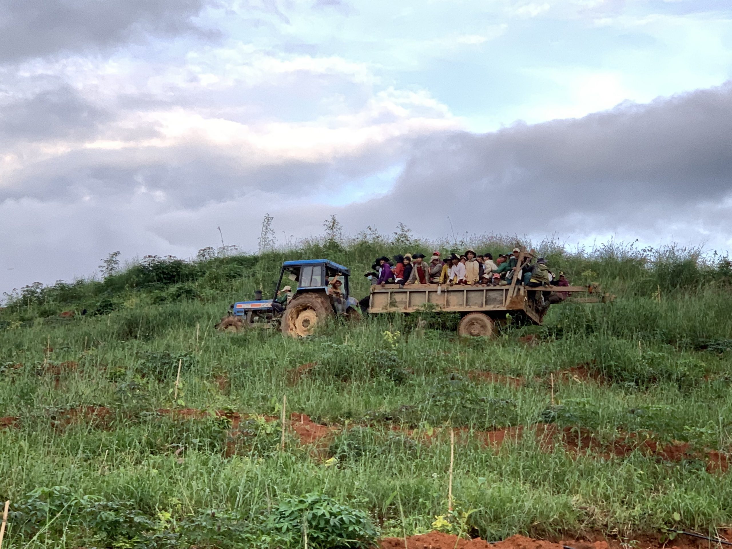Hệ thống tưới nhỏ giọt cho 100ha Mít