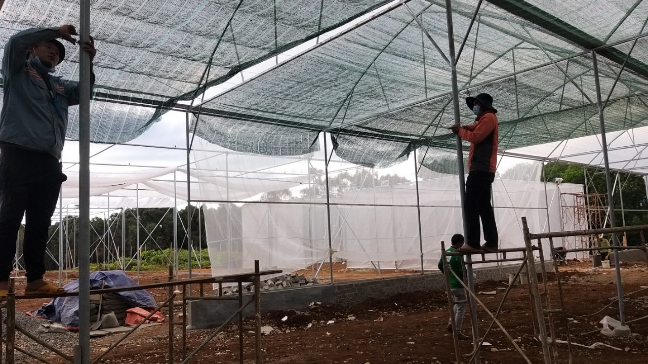 Tư vấn, thiết kế và thi công lắp đặt hệ thống tưới tự động cho vườn ươm. Tư vấn và hướng dẫn bảo trì, vận hành hệ thống tưới hiệu quả