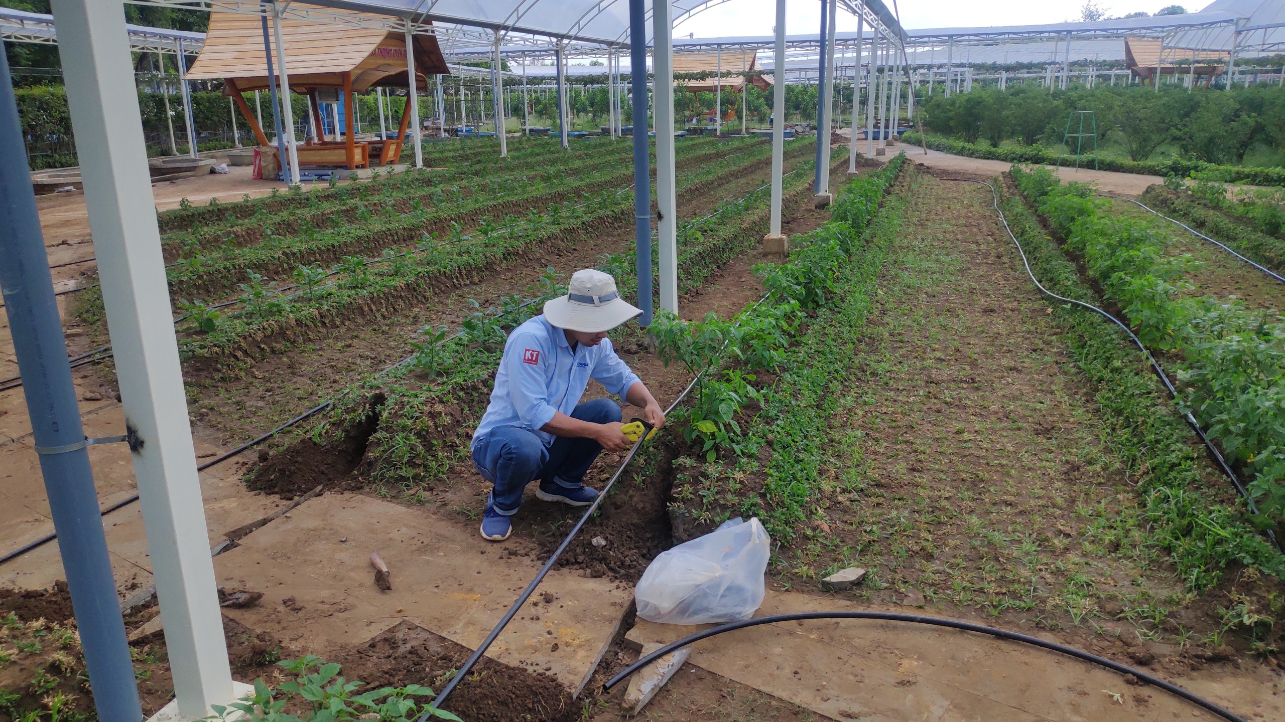 Hệ Thống Tưới Cho Suối Tiên Farm