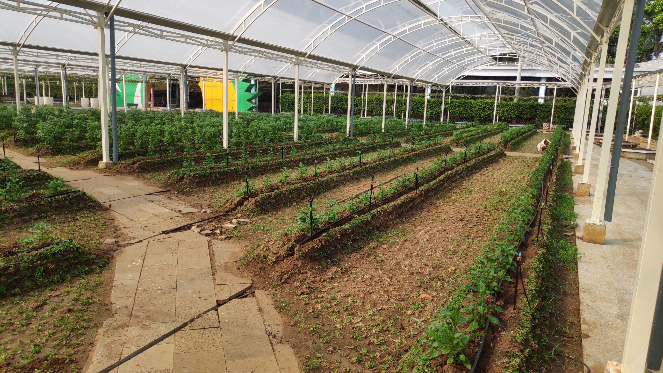 Hệ Thống Tưới Cho Suối Tiên Farm