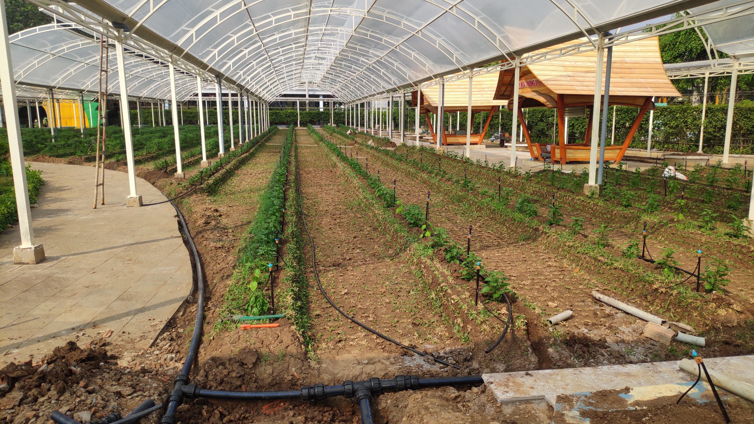 Hệ Thống Tưới Cho Suối Tiên Farm