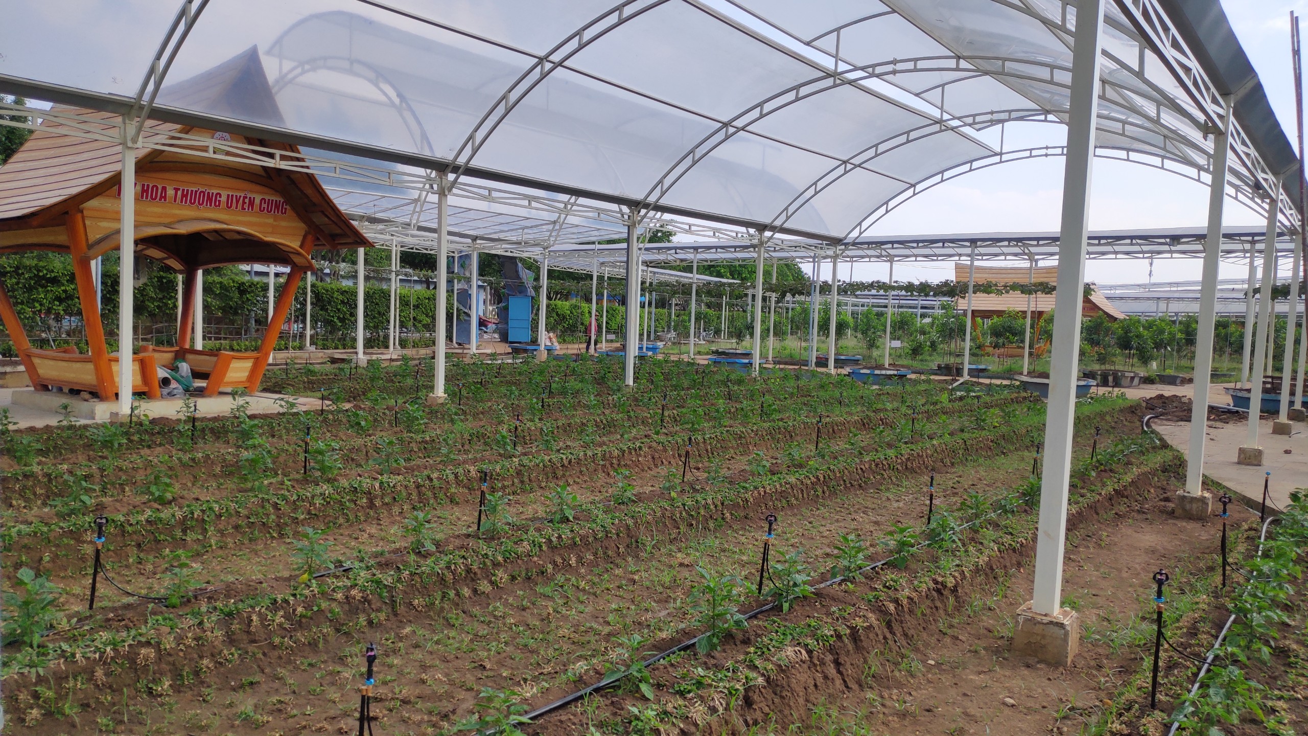 Hệ Thống Tưới Cho Suối Tiên Farm