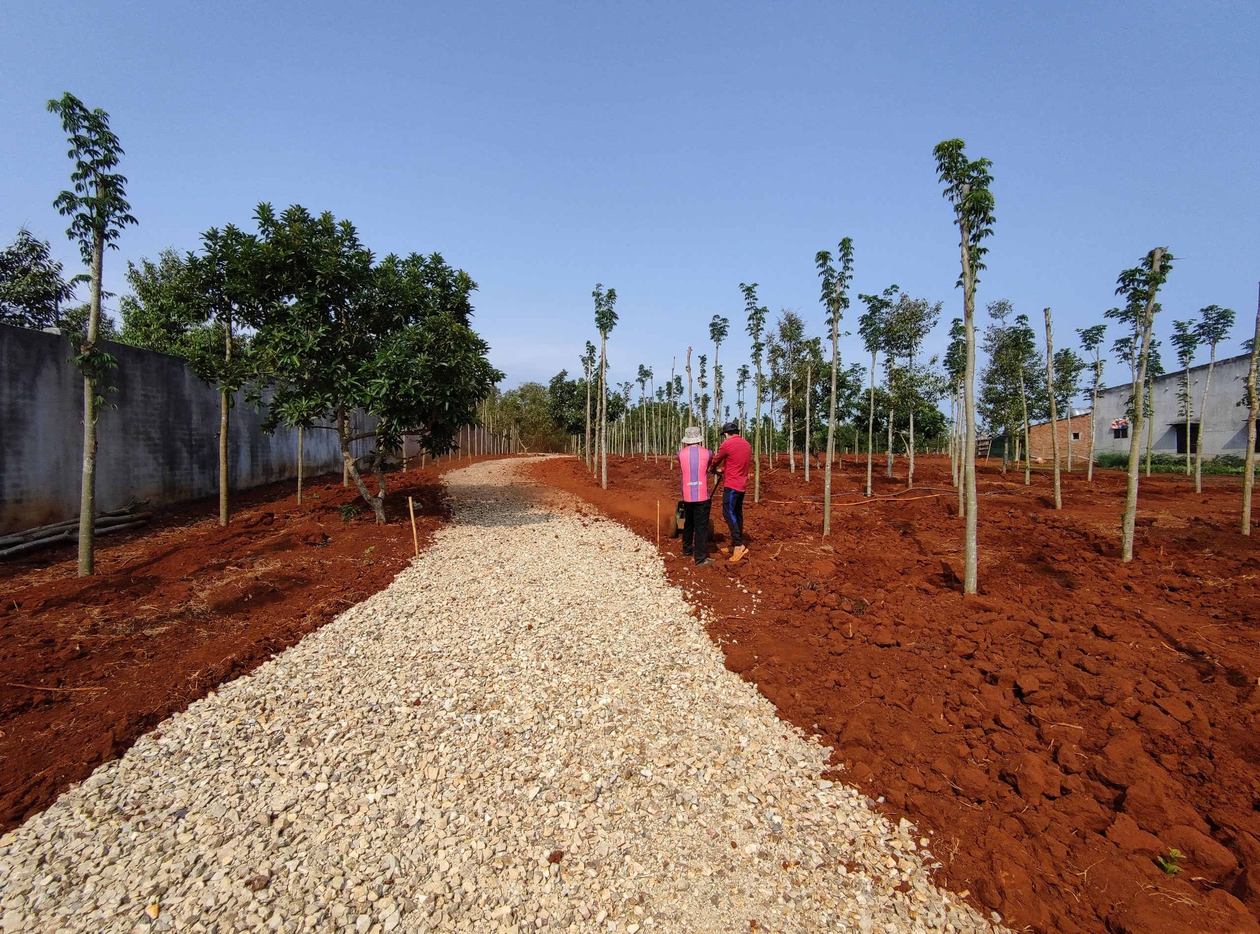 Hệ thống tưới nhỏ giọt cho Farmstay Sông Xoài