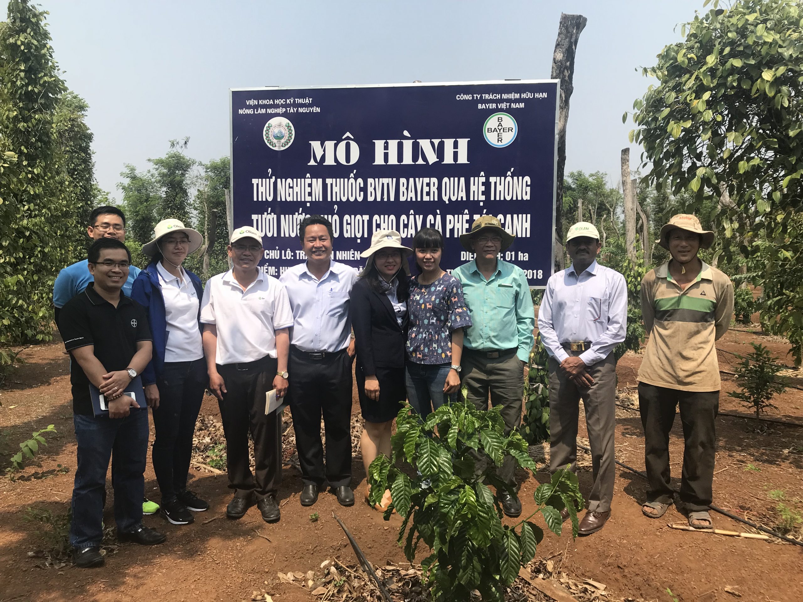 Lợi ích của tưới thuốc bảo vệ thực vật qua hệ thống tưới nhỏ giọt