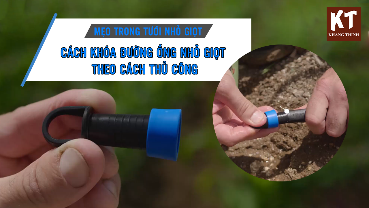 Mẹo Trong Tưới Nhỏ Giọt