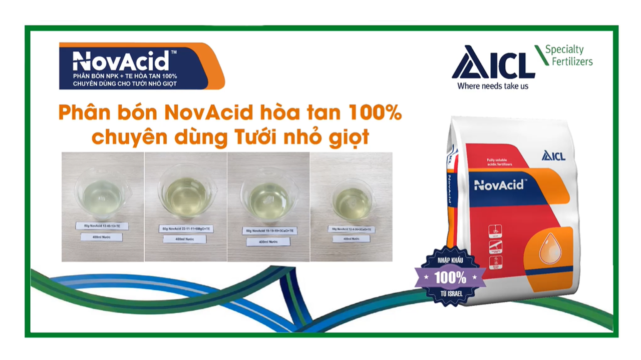 Novacid Các Loại Hòa Tan1