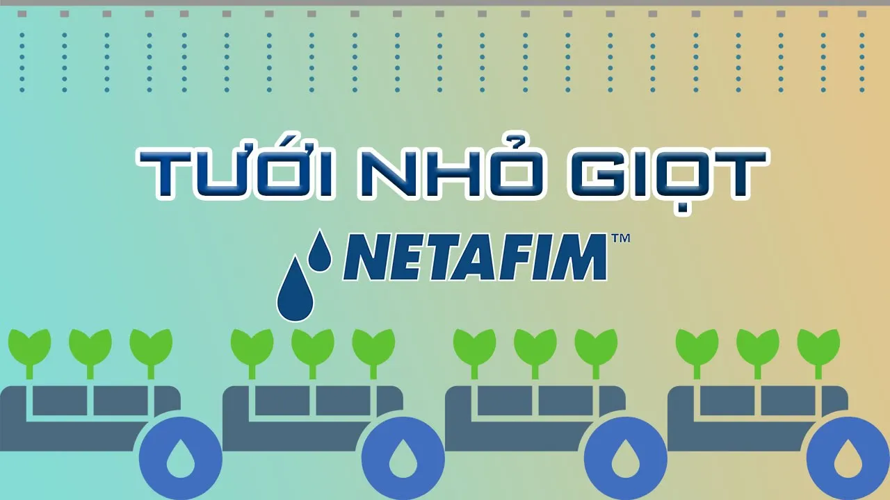 Tưới Nhỏ Giọt Netafim