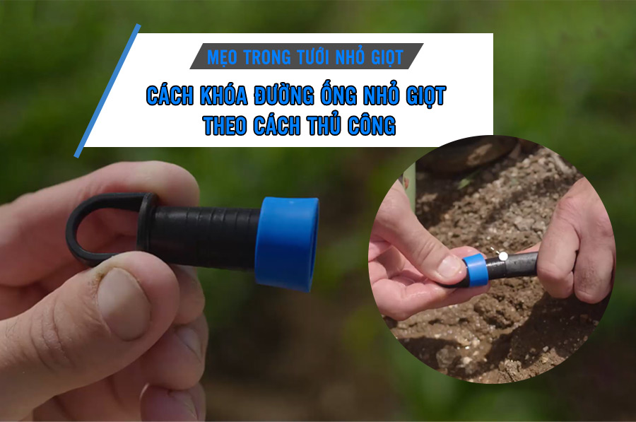 Cách Khóa đường ống Trong Tưới Nhỏ Giọt