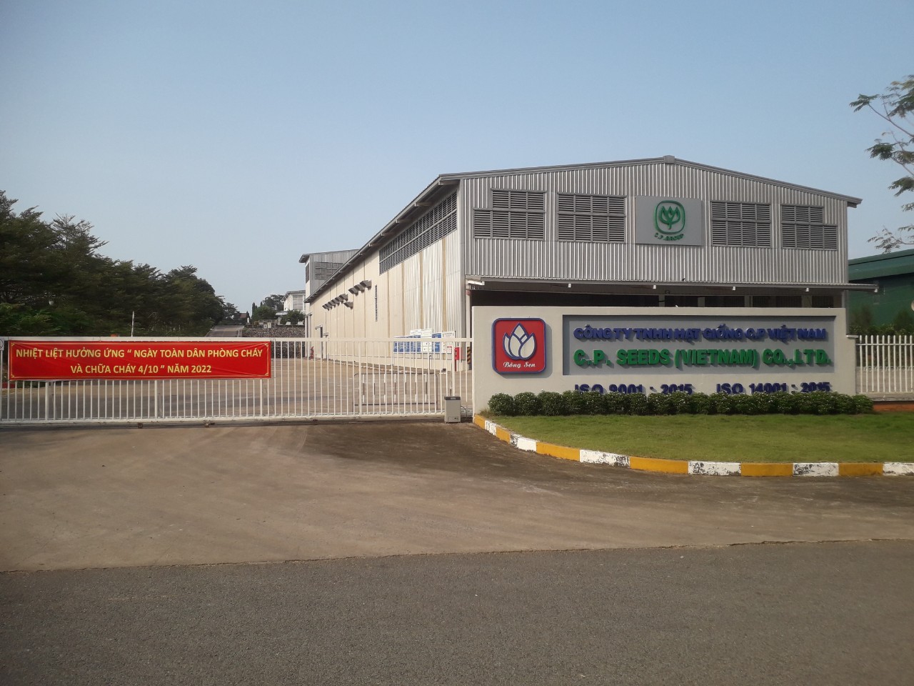 Hệ thống tưới cho cây Bắp - C.P Seed