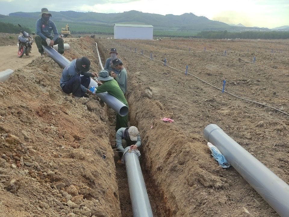 Hệ thống tưới phun bù áp cho 200 ha Chuối